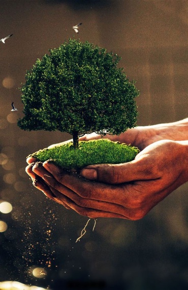 A Núcleo Ambiental oferece soluções ambientais modernas e eficazes